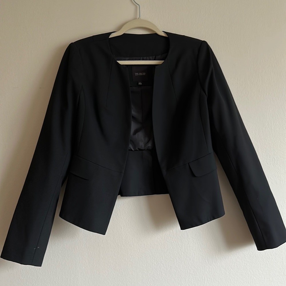 vintage The Limited blazer